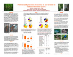 Patterns and processes of recovery in and around an Indiana limestone quarry